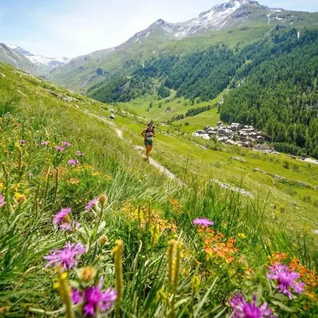 Apartman Germain Close To Mont Blanc Chamonix